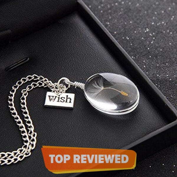 Wish Glass Dandelion Seed Pendant Long Necklace Silver Chain - 1 Pc